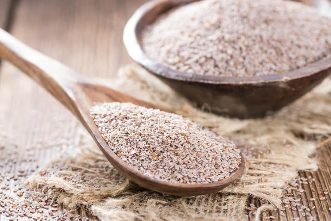 Pinch Magic Fiber Psyllium Husk Seeds